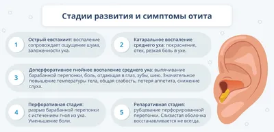 Устройство для промывания носа Аква Марис лейка + соль морская саше №30 -  купить с доставкой по выгодным ценам в интернет-магазине OZON (1013533484)