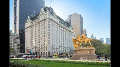 The Plaza: секреты самого известного отеля Нью-Йорка - ForumDaily