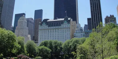 The Plaza Hotel 5* (150 отзывов) в Нью-Йорк, Нью-Йоркская агломерация.  Забронировать The Plaza Hotel 5*