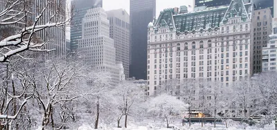 Отель The Plaza Нью-Йорк – актуальные цены 2024 года, отзывы, забронировать  сейчас