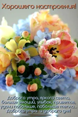 Картинка: красивые цветы с добрым утром