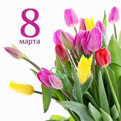 Красные тюльпаны в плетеной корзине | Beautiful flower arrangements, Flower  photos, Tulips flowers