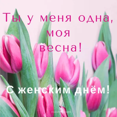 ▫️тюльпаны по 600тг ▫️открытки на 8 марта по 100тг ▫️8-701-242-33-02(WhatsApp)  with love «SULU» flowers🌷 | Instagram