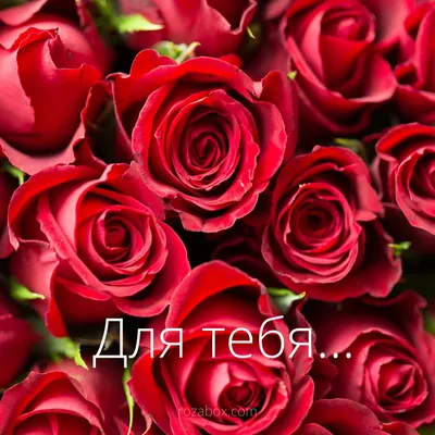 Открытки для тебя для тебя...