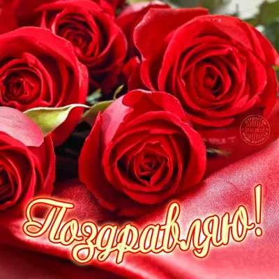 Открытки розы с днем рождения женщине...