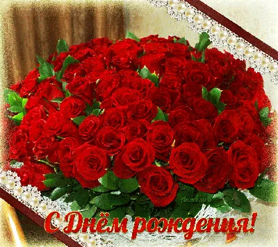 поздравительные открытки с розами и фоном для размещения поздравления Stock  Photo | Adobe Stock