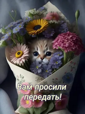 Пожелания добра и счастья - красивые открытки (65 ФОТО)