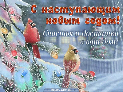 Смешная открытка на День Рождения с конвертом \"Разрешите вас  отхэппибёздить!\", 10,5х15см (А6-формат) - купить с доставкой в  интернет-магазине OZON (660079637)
