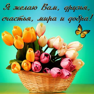 https://copy.spb.ru/poligr_prod/otkritki/foto/