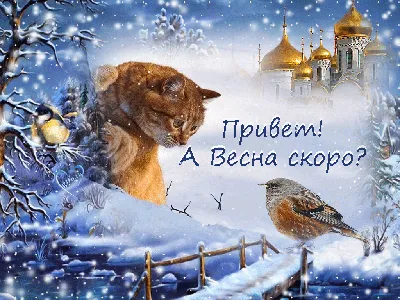 Скоро Весна ! | Новогодние открытки, Зима, Милые открытки