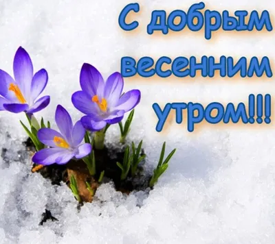 Совсем скоро весна 🌸 И приближается самый красивый весенний праздник 8  марта | Санкт-Петербург