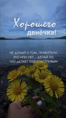 Доброе утро, Хорошего дня, отличного дня, понедельник утро , доброе утро  понедельник, мотивация, море , цветы и море моти… | Утренние сообщения,  Сообщения, Открытки