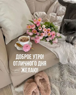 Картинка: Доброе утро! Отличного дня желаю! | Поздравительные открытки,  Открытки, Флорист
