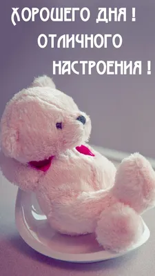 Картинка хорошего и отличного дня желаю много позитива побольше бодрости и  сил — скачать бесплатно