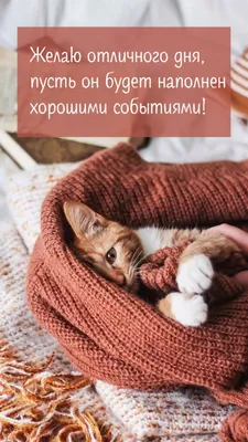 Открытки хорошего дня и отличного настроения - 75 фото