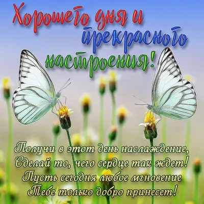 Открытка для любимых и родных взрывоопасная Хорошего дня. Открытки на  каждый день с пожеланиями для родственников.