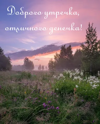 Прикольные картинки \"Хорошего Дня!\" (260 шт.)