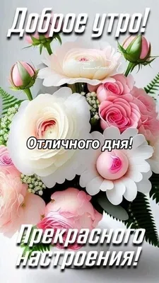 Картинки \"С Добрым Утром!\" и \"Хорошего Дня!\" (500+)