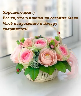 Отличного дня! в 2023 г