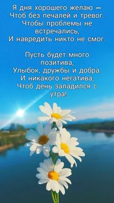 Отличного денечка..