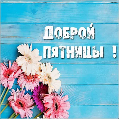 Златоглавая - ☀Доброе утро, Москва! Всем отличной пятницы и прекрасного  настроения!😅 | Facebook