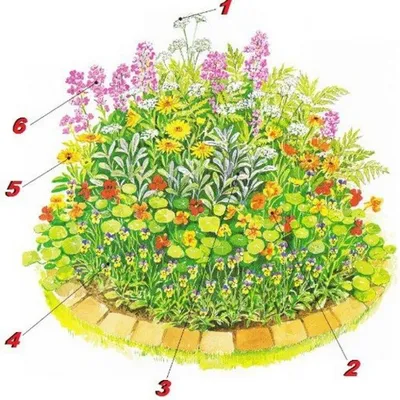 Бордюр садовый пеньки | Обзоры и советы по материалам ПК Сетка