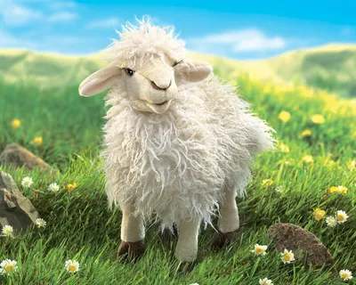 Овечка с стадом овец в предпосылке Стоковое Изображение - изображение  насчитывающей овцы, овечка: 54229289