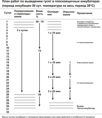 ОВОСКОП