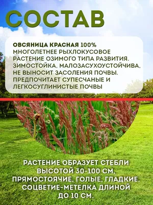 Газонные травы Овсяница красная 10 кг - купить по выгодным ценам в  интернет-магазине OZON (899714866)