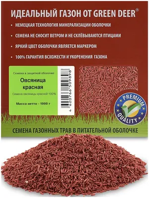 Газонная трава: овсяница красная | GardeniumPro.ru | Дзен