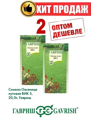 Семена Трава Овсяница Луговая, 1 кг: продажа, цена в Обухове. Бобовые  культуры от \"ᐉ АгроМагазин Цыбулинка (Все для Сада и Огорода)\" - 681448419