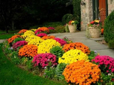Маленький совет для небольших садовых участков👍 Изогнутые или пейзажные  садовые дорожки визуально увеличат любой дачный участок✨ | Instagram