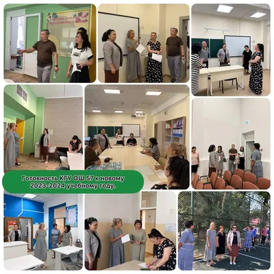 Комнатные растения для школы