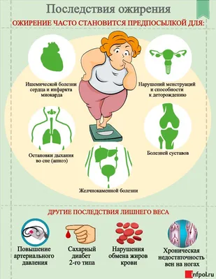Ожирение: что это, опасность для организма, методы борьбы - Клиника ТРИНИТИ  (Москва)