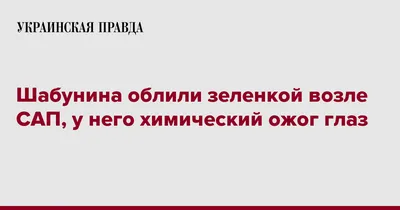 Кто в Подмосковье облил зеленкой адвоката Елену Пономареву: защитница  получила ожог глаз второй степени – и уже назвала виновников | Курьер.Среда  | Дзен