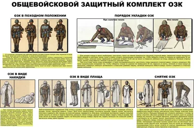 Комплект ОЗК, ОП-1М (плащ рост 2, чулки - рост 2) - купить с доставкой по  выгодным ценам в интернет-магазине OZON (1262936631)