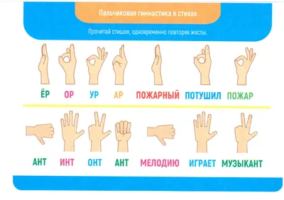 Пальчиковая гимнастика. Лесные животные. А3. ПЛ - 14617. купить оптом в  Екатеринбурге от 35 руб. Люмна