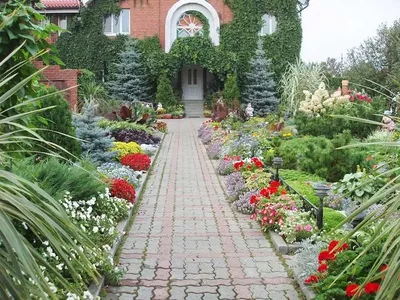 Cтатья Палисадник. Питомник растений Знак Земли.