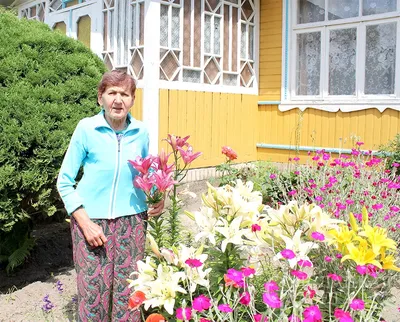 Красивый палисадник перед домом: советы для начинающих | ВКонтакте