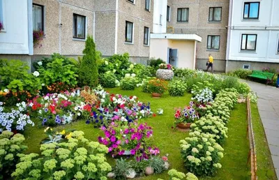 82-летняя жительница Красноярска разрисовала фасад пятиэтажки и высадила  пионы возле подъезда - Gornovosti.Ru