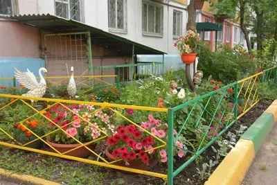 Меня заставляют убрать палисадник около дома. Почему так?