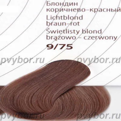 Крем-краска для волос «Estel» Color Signature, 10/76 снежный лотос, 150 мл  + Estel Secrets 20 мл купить в Минске: недорого, в рассрочку в  интернет-магазине Емолл бай