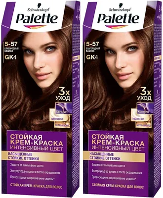 Краска для волос Palette Интенсивный цвет GK4 Благородный каштан, комплект:  2 упаковки по 110 мл - купить с доставкой по выгодным ценам в  интернет-магазине OZON (903196665)