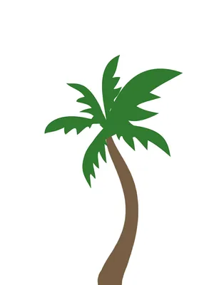 Пальма кокосовая на заднем плане тихого океана