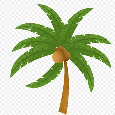 Кокосовая пальма воздушным снимком