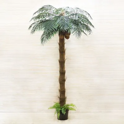 Пальма кокосовая - идеальный фон для дизайна