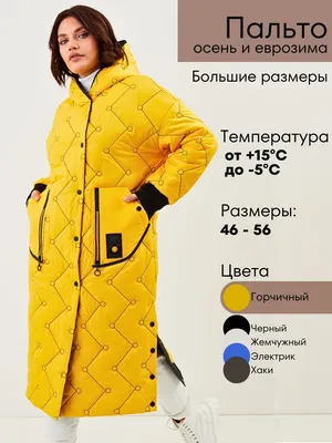 Модное пальто — цена 595 грн в каталоге Пальто ✓ Купить женские вещи по  доступной цене на Шафе | Украина #1089895