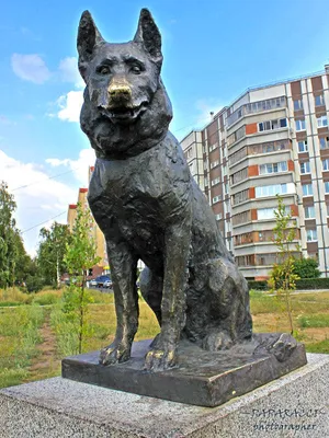 Памятник Преданности, Тольятти — 2ГИС