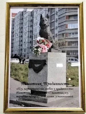 Памятник преданности в Тольятти, Южное ш. - фото, отзывы, рейтинг, телефон  и адрес