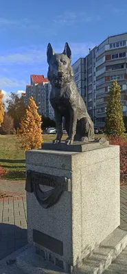 Памятник собачьей преданности